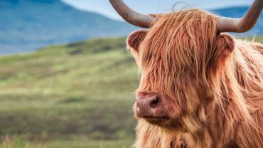 Top 5 Scenic Drives on the Isle of Skye That Will Take Your Breath Away